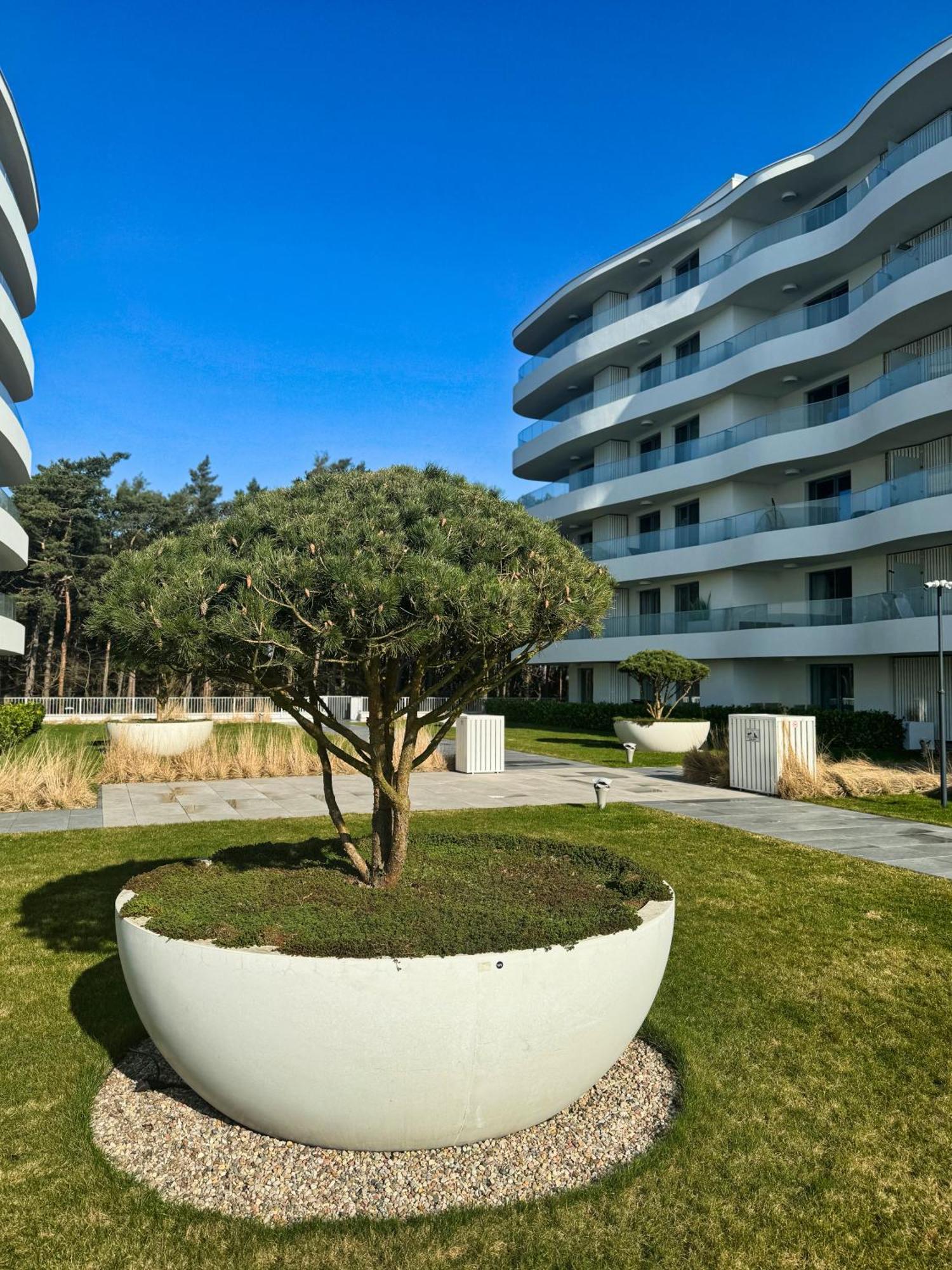 Rogowo Pearl Apartamenty Екстериор снимка